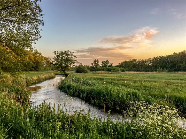 Drentsche Aa